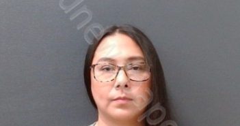 STERN, VANESSA ASHLEY | 2024-11-11 Comal County, Texas Booking