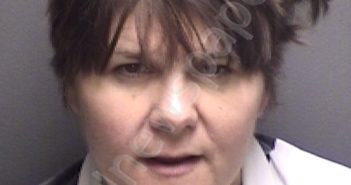 SCRUGGS,CYNTHIA ANNE | 2024-11-11 Freestone County, Texas Booking