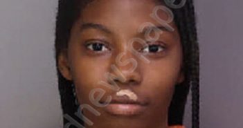 BINES, SHAKIRAH MYEISHA | 2024-11-12 18:01:00 Florence County, South Carolina Booking