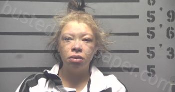 <B>MULLINS</B>, <B>DESTINY</B> <B>LASHEA</B> #, Hopkins County, Kentucky - 2024-11-12 16:02:00
