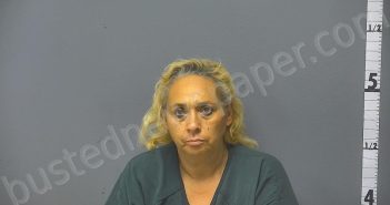 NUCKOLS, JENNIFER ANN | 2024-11-12 13:56:00 Middle River, Virginia Booking