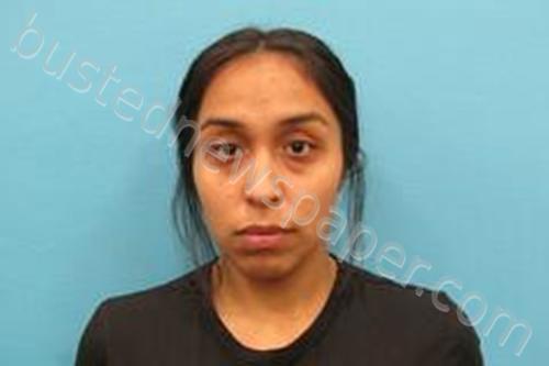 YAZMINE DUARTE #, Kendall County, Texas - 2024-11-12 11:35:00