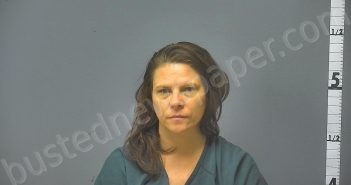 MILLER, SARA ANN | 2024-11-12 17:25:00 Middle River, Virginia Booking