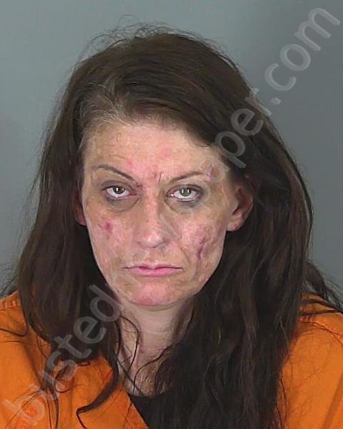 CRYSTAL MICHELLE BRYANT #, Spartanburg County, South Carolina - 2024-11-12 08:27:49