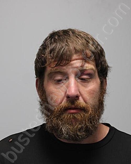 BROWN, KENNETH MICHAEL, JR #, Bradley County, Tennessee - 2024-11-12 22:04:18