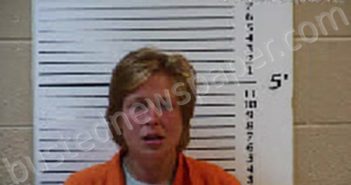 ALVIS, LAVINA JO | 2024-11-12 19:56:00 Cherokee County, North Carolina Booking