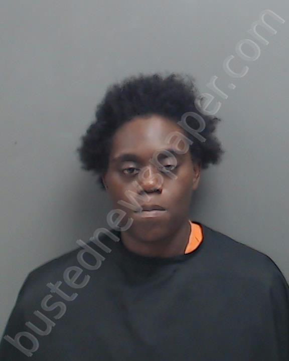 WINSTON, AMANDA SHAUNTE #, Harrison County, Texas - 2024-11-12