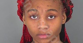 RAVEN CHARDAE EDWARDS | 2024-11-12 11:00:16 Spartanburg County, South Carolina Booking