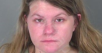 BAILEY LEIGH WOFFORD | 2024-11-12 02:14:13 Spartanburg County, South Carolina Booking