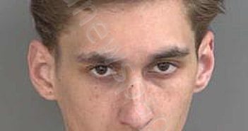 <B>DINATALE</B>,<B>ANTHONY</B> <B>JUDE</B> #, Collier County, Florida - 2024-11-13