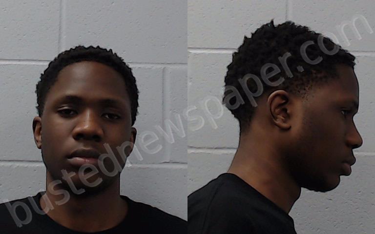 ODIPO, DAVID JEREMIAH #, Hays County, Texas - 2024-11-13