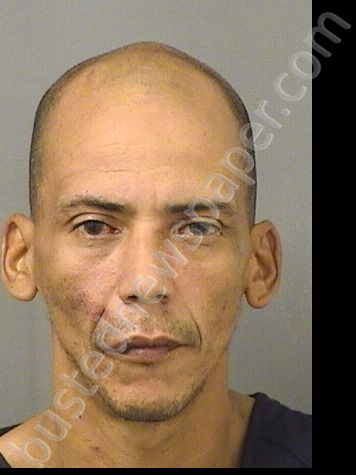 CARERROSAGARDIA, KELVIN #, Palm Beach County, Florida - 2024-11-13 17:45:00