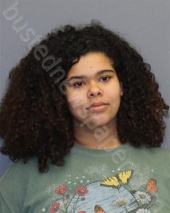 MINOR, AIMEE SYMONE | 2024-11-13 Northwestern Regional Jail, Virginia Booking