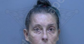 BREIDINGER, <B>ANGELA</B> <B>MARIE</B> #, <b>Lee</b> County, Florida, Lee County, Florida - 2024-11-13 09:53:00