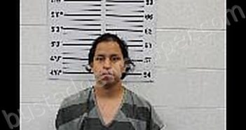 <B>LOPEZ</B>–<B>ROBLERO</B>, <B>WILLIAM</B> <B>JUNIOR</B> #, Dakota County, Nebraska - 2024-11-14