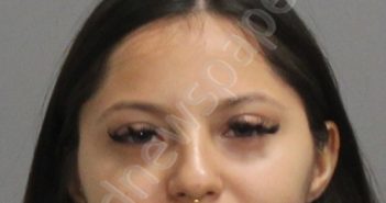 MARTINEZ, LEILANI NAILEA | 2024-11-14 Brazos County, Texas Booking