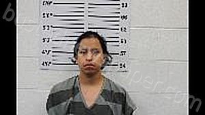 LOPEZ ROBLERO, WILLIAM JUNIOR | 2024-11-14 Dakota County, Nebraska Booking