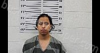 <B>LOPEZ</B> <B>ROBLERO</B>, <B>WILLIAM</B> <B>JUNIOR</B> #, Dakota County, Nebraska - 2024-11-14