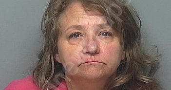 DIEHL, LISA COLLEEN | 2024-11-14 22:47:00 Montgomery County, Texas Booking