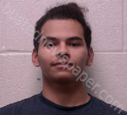 GARCIA, LUIS BUCIO #, Robertson County, Tennessee - 2024-11-14 15:34:00