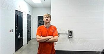 MEESE, MICHAEL | 2024-11-14 19:20:00 Fulton County, Arkansas Booking