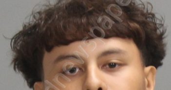 GONZALEZ, BRIAN | 2024-11-14 Brazos County, Texas Booking