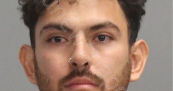 VERGARA, BRYAN | 2024-11-15 Brazos County, Texas Booking