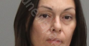 DIAZ, DAYNA | 2024-11-15 Brazos County, Texas Booking