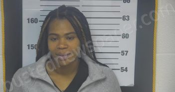 WILLIAMS, TORIANN S | 2024-11-15 12:11:00 Ottawa County, Ohio Booking