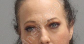 GREEN, SARAH ANN | 2024-11-15 Brazos County, Texas Booking