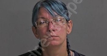 CLIFTON, STEFANI N | 2024-11-15 Sandusky County, Ohio Booking