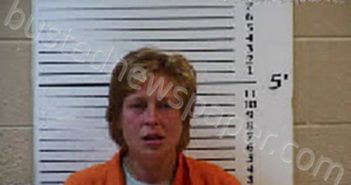 ALVIS, LAVINA JO | 2024-11-15 10:29:00 Cherokee County, North Carolina Booking