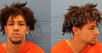 HARRINGTON, <B>BRANDON</B> <B>AUSTIN</B> #, Guadalupe County, Texas - 2024-11-16