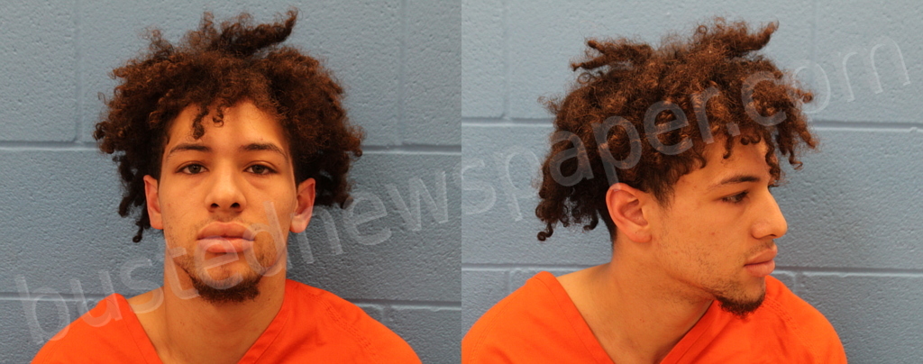 HARRINGTON, BRANDON AUSTIN #, Guadalupe County, Texas - 2024-11-16