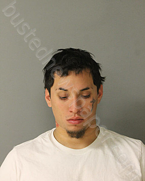 XAVIER FLORES #, Chicago, Illinois - 2024-11-16
