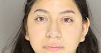 ALVAREZ, JENNIFER | 2024-11-16 06:46:00 Moore County, North Carolina Booking