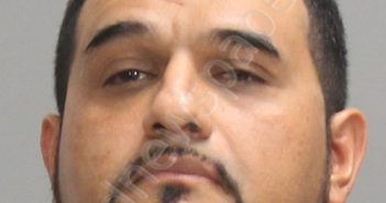 HERNANDEZ, ELVIS DANIEL | 2024-11-16 Brazos County, Texas Booking