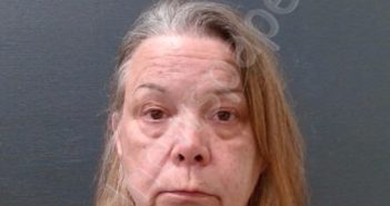 WILLIAMS, TRACY ANN | 2024-11-16 Comal County, Texas Booking