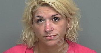 SEPULVADO, JENNA CECILE | 2024-11-17 21:16:00 Montgomery County, Texas Booking