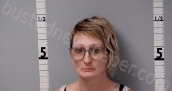 <B>HILL</B>, <B>MELISSA</B> <B>ANN</B> #, Gratiot County, Michigan - 2024-11-17 01:35:00