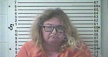 ABDELLAHI, TAMMY LYNN | 2024-11-17 22:03:00 Hardin County, Kentucky Booking