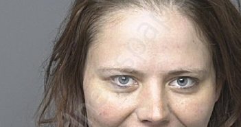 <B>ADAMS</B>, <B>MICHELLE</B> <B>VICTORIA</B> #, Dubuque County, Iowa - 2024-11-18 18:48:00
