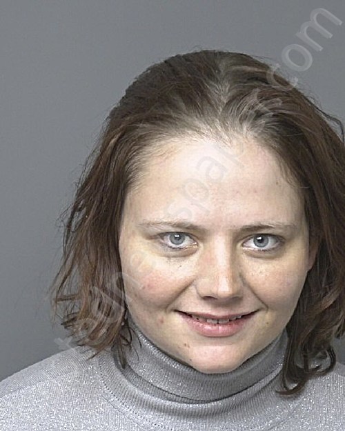 ADAMS, MICHELLE VICTORIA #, Dubuque County, Iowa - 2024-11-18 18:48:00