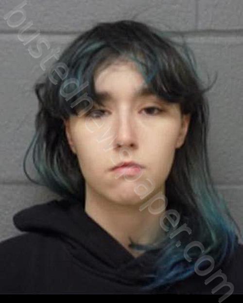 MAZZA-SIRAGUSA, SOPHIE #, Delaware County, New York - 2024-11-18 21:50:00