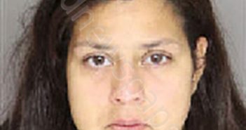 RIVAS, HANNAH MARIA | 2024-11-19 15:40:00 Moore County, North Carolina Booking