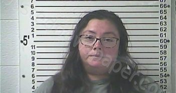 SEEBOLD, ERICA LYNN | 2024-11-19 16:23:00 Hardin County, Kentucky Booking