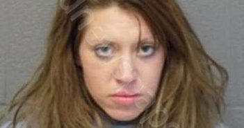 OSTRANDER, KENDRA C | 2024-11-19 11:59:00 Delaware County, New York Booking