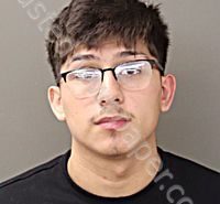 <B>SALAS</B> <B>REYES</B>, <B>JAVIER</B> <B>JUNIOR</B> #, Franklin County, Ohio - 2024-11-19