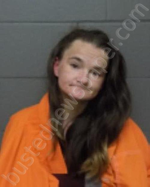 CONDON, COURTNEY #, Delaware County, New York - 2024-11-19 01:23:00