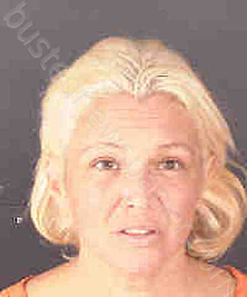 PERKINS, JESSICA LYNN #, Sarasota County, Florida - 2024-11-19
